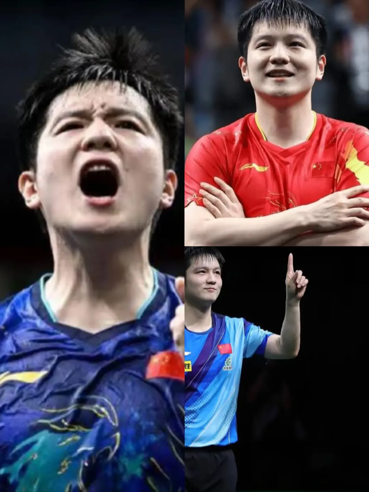 葡萄牙队碾压韩国队,樊振东关键制胜 葡萄牙队碾压韩国队,樊振东关键制胜