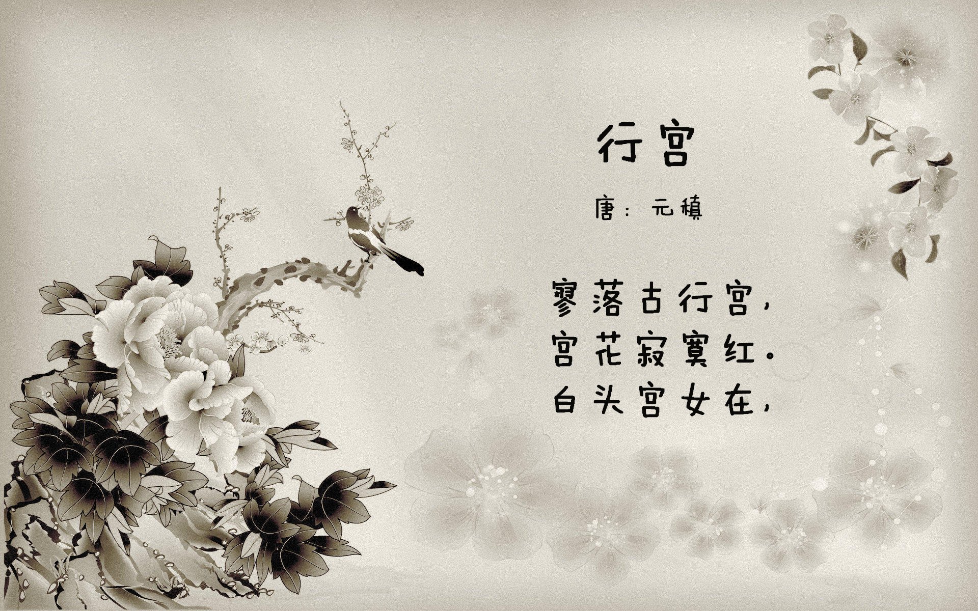 防守艺术与个人辉煌，公牛封锁魔术，米切尔西甲德比主宰赛场