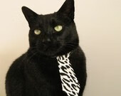 逆转之夜！小贾伦加时独砍12分化身关键先生，独行侠终结三连败