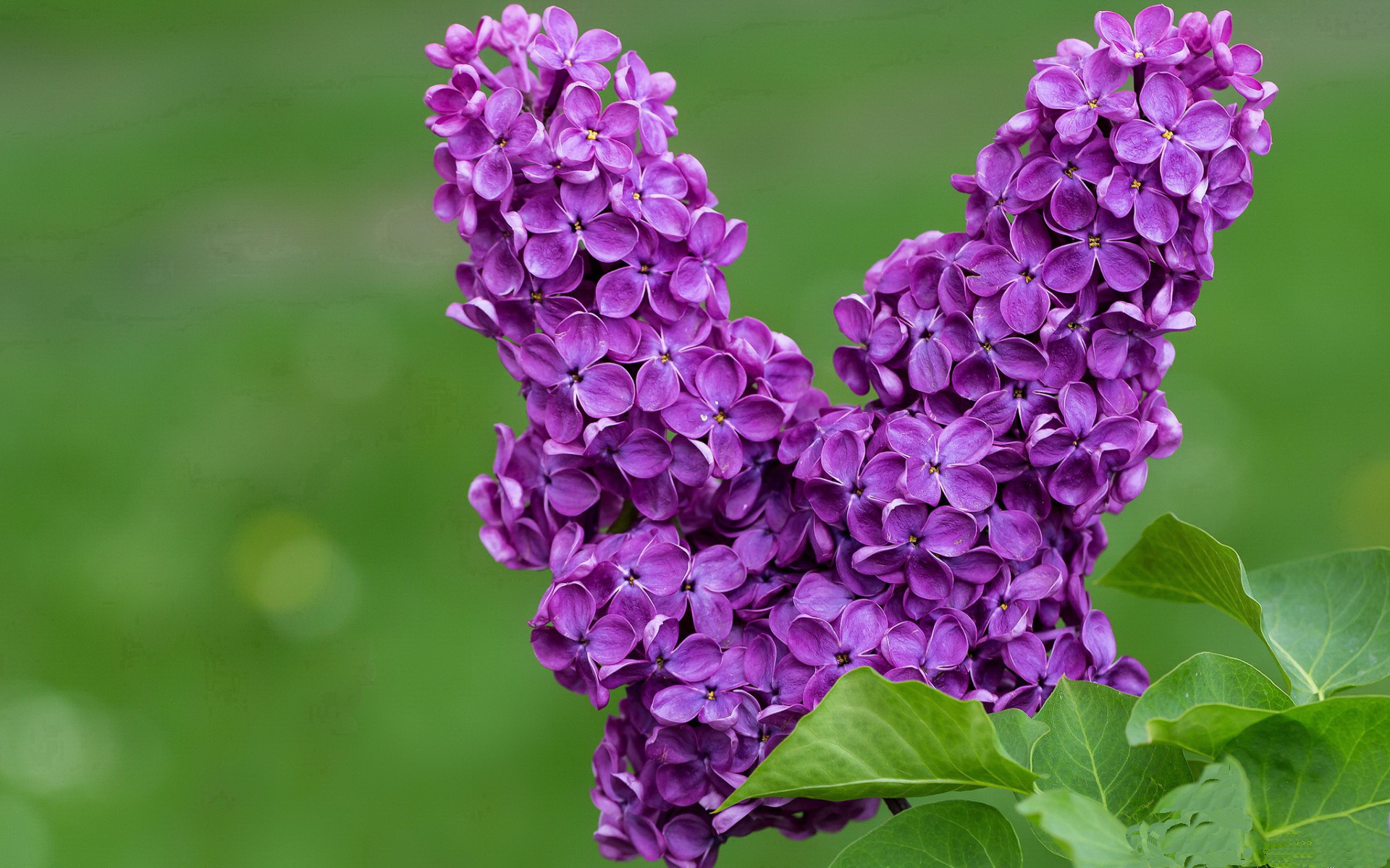 约基奇末节导演逆转风暴,快船双星黯然失色成背景板